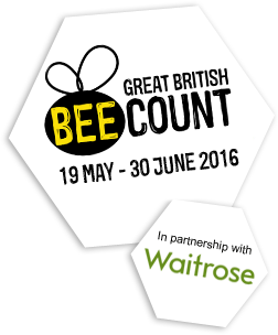 great-british-bee-count-logo-waitrose-2016-2_2